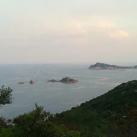 Bellavista